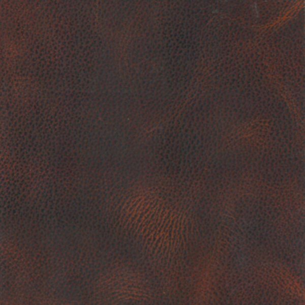 Buffalo Achaemenid Leather